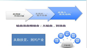 數(shù)字鄉(xiāng)村與農(nóng)產(chǎn)品網(wǎng)銷 對隴南模式升級(jí)的網(wǎng)絡(luò)技術(shù)服務(wù)新思考